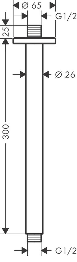 Шланговое подсоединение Hansgrohe Vernis Blend Потолочное подсоединение 30 см 27805000