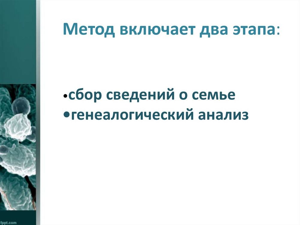 Модель-аппликация Генеалогический метод антропогенетики — купить по ФГОС | Учебный стандарт Модель-аппликация Генеалогический метод антропогенетики — купить по ФГОС | Учебный стандарт