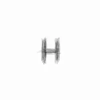 H