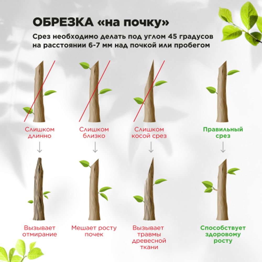 Секатор GREEN APPLE GAECO02-72 плоскостной | GREEN APPLE