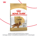 Royal Canin Cocker Adult Кокер Эдалт Корм сухой для взрослых собак породы Кокер Спаниель от 12 месяцев 12кг
