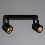 Потолочный светильник Arte Lamp MIZAR A1311PL-2BK
