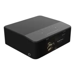 Bluesound NODE Icon (N530)