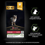 Сухой корм PRO PLAN HEALTHY START для щенков средних пород курица 12 кг