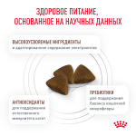 ROYAL CANIN Gastrointestinal Kitten Корм сухой для котят от 2 до 10 месяцев при нарушениях пищеварения, 350 г