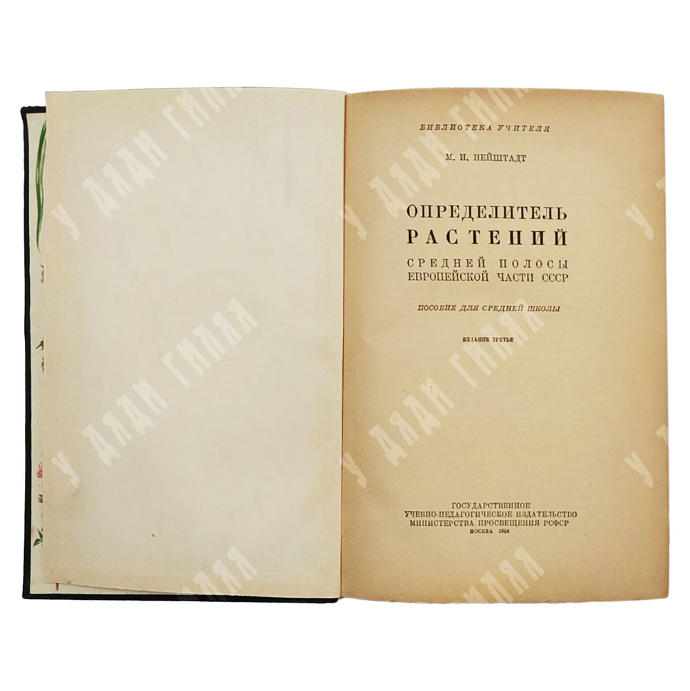 Нейштадт М. И. Определитель растений, М. 1948.
