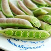 Снеп Горох Усатый Весенний Румянец -  Snap Spring Blush Tendril Pea