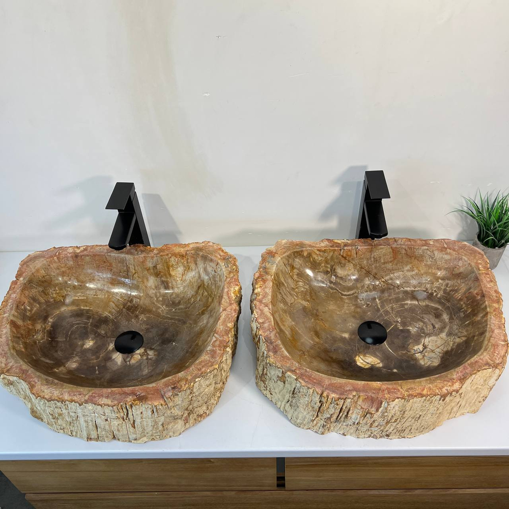 Раковина из окаменелого дерева ПАРА! OD-66879 55x45x16 из натурального камня