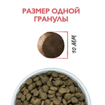  Сухой корм для взрослых собак мини пород Брит BRIT CARE Mini Adult Delicious Taste с индейкой и уткой 0,4кг