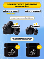Мёд натуральный с мумие STRONG, 250 г