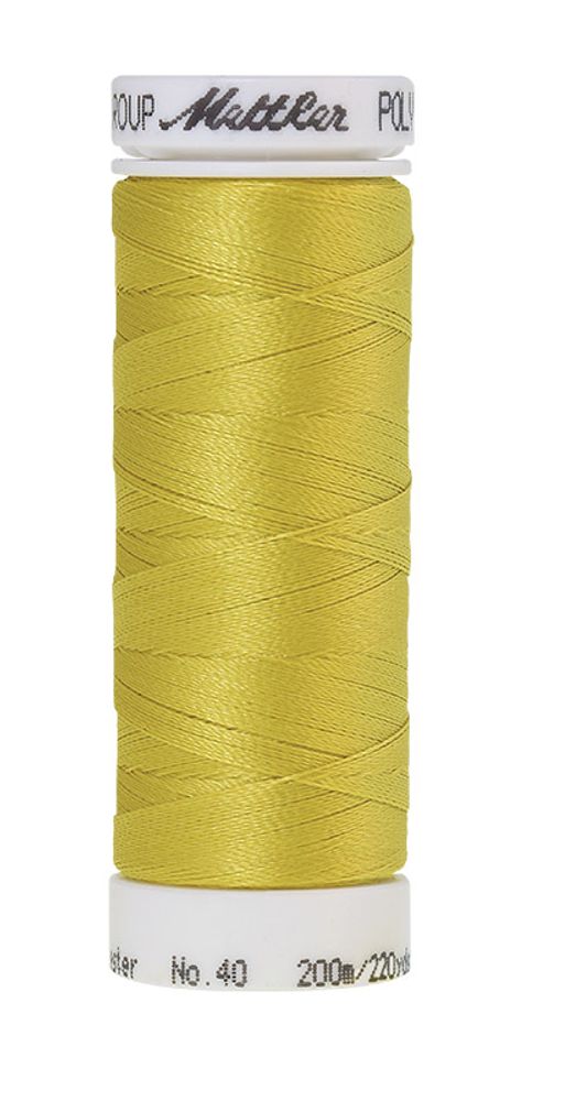 Нить вышивальная Mettler Poly Sheen 40 (200 м), 5 кат. | цв. 0221