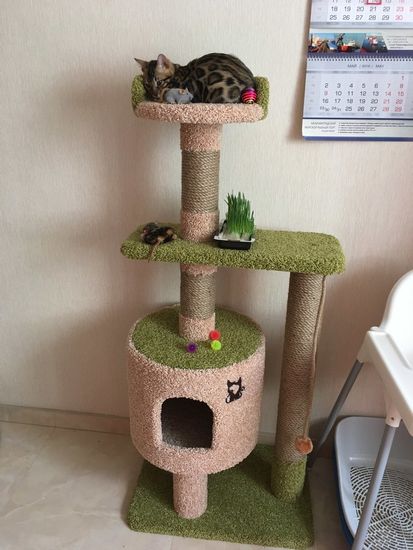 Дом для котят Д-2