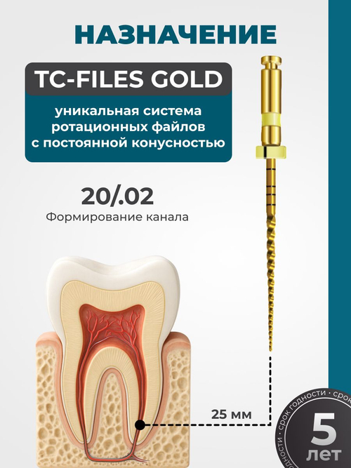 Машинные эндодонтические инструменты STEA TC-Files Gold для минимально инвазивной эндодонтии, 25мм, размер 20/.02