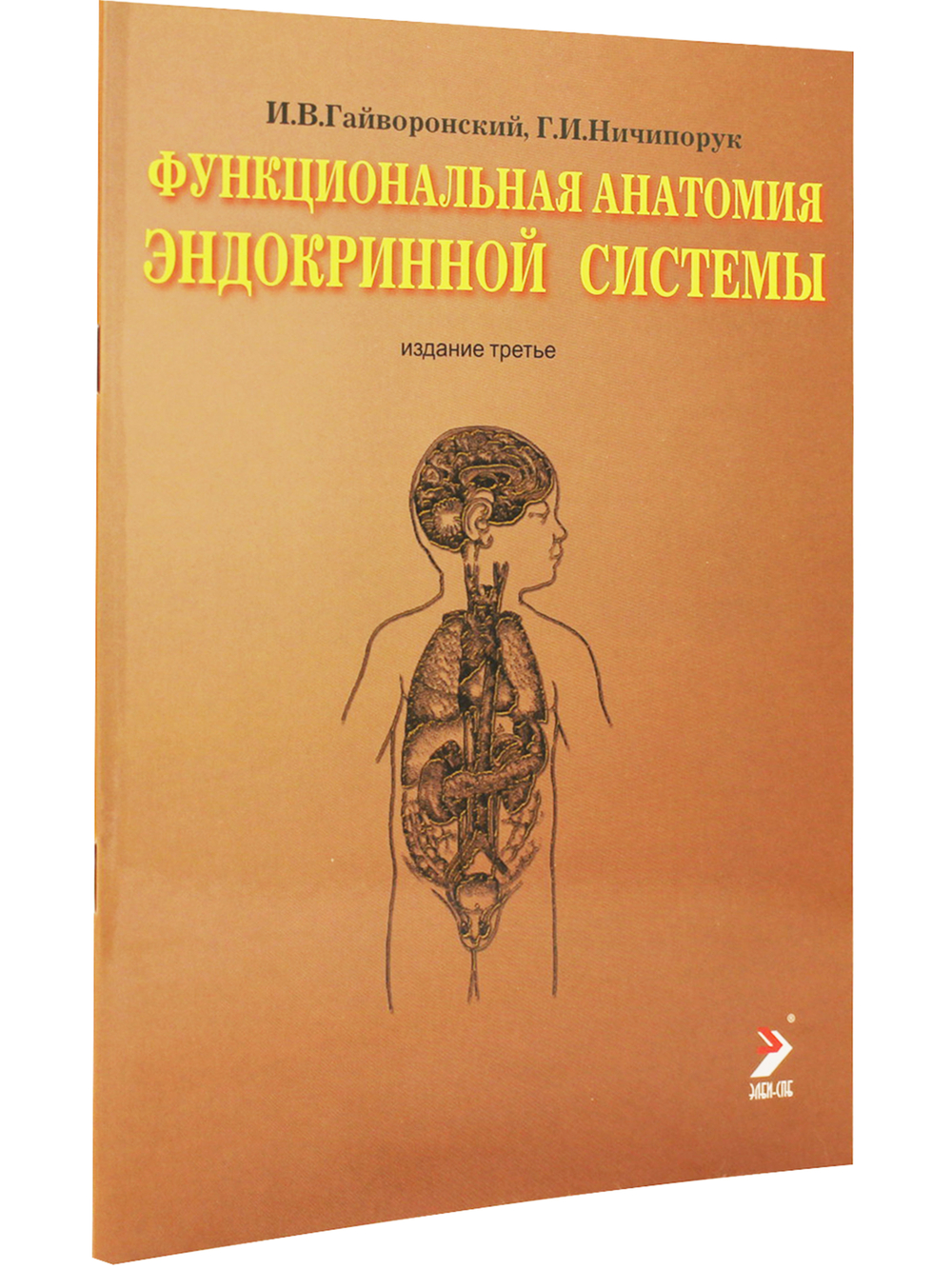 Функциональная анатомия эндокринной системы. Учебное пособие. 3-е изд.