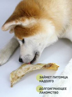 Говяжий лопаточный хрящ (крупный) — лакомство для собак, 1 шт