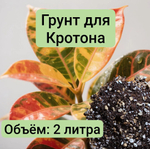 Грунт для Кротона 2 л грунт универсальный 2 литра грунта для Кротона