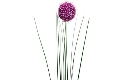 Искусственный цветок Алиум фиолетовый 75см Garda Decor 8J-14RS0018