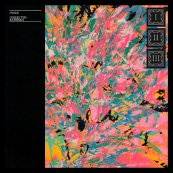 Foals — Collected Reworks (LP)