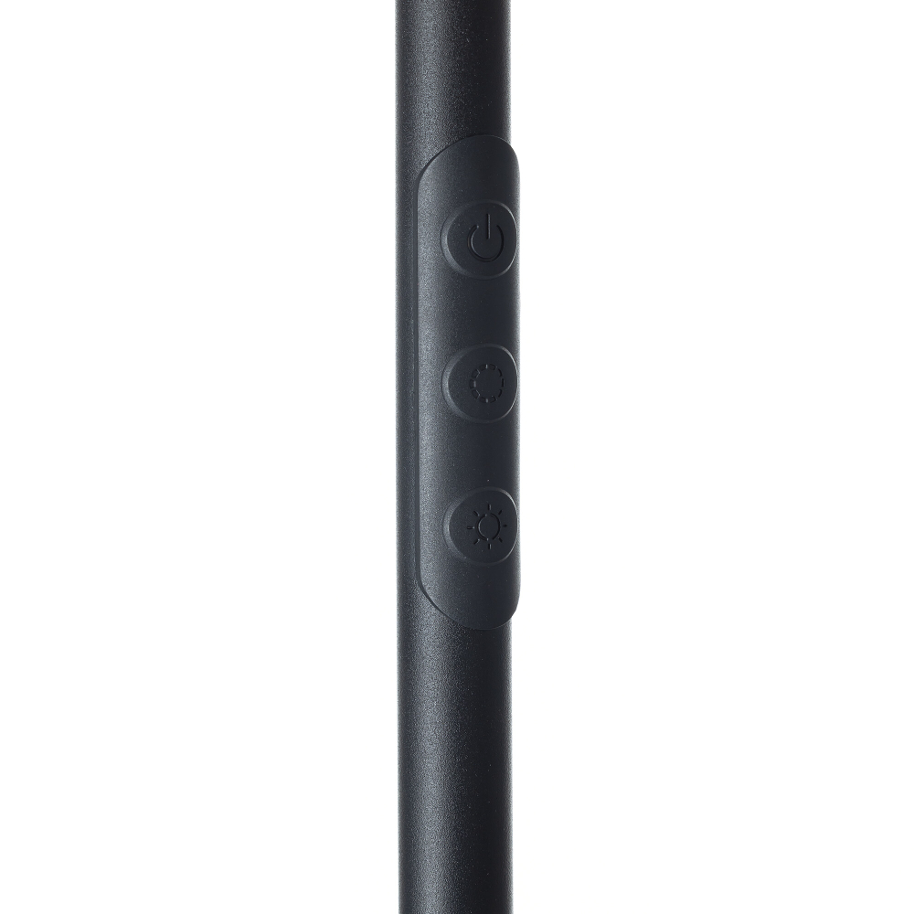 Citilux SOLO CL804061 LED Торшер с пультом Чёрный