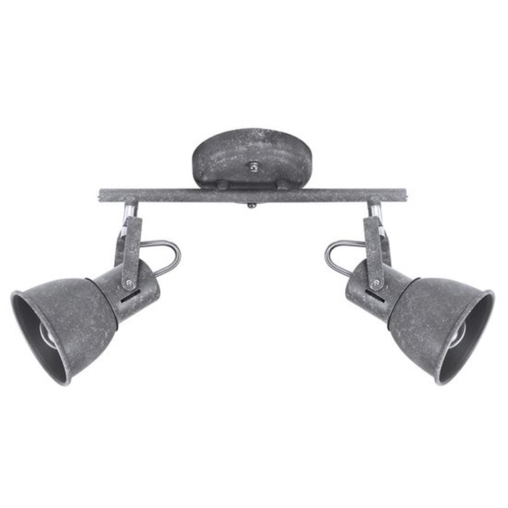 Потолочный светильник Arte Lamp JOVI A1677PL-2GY