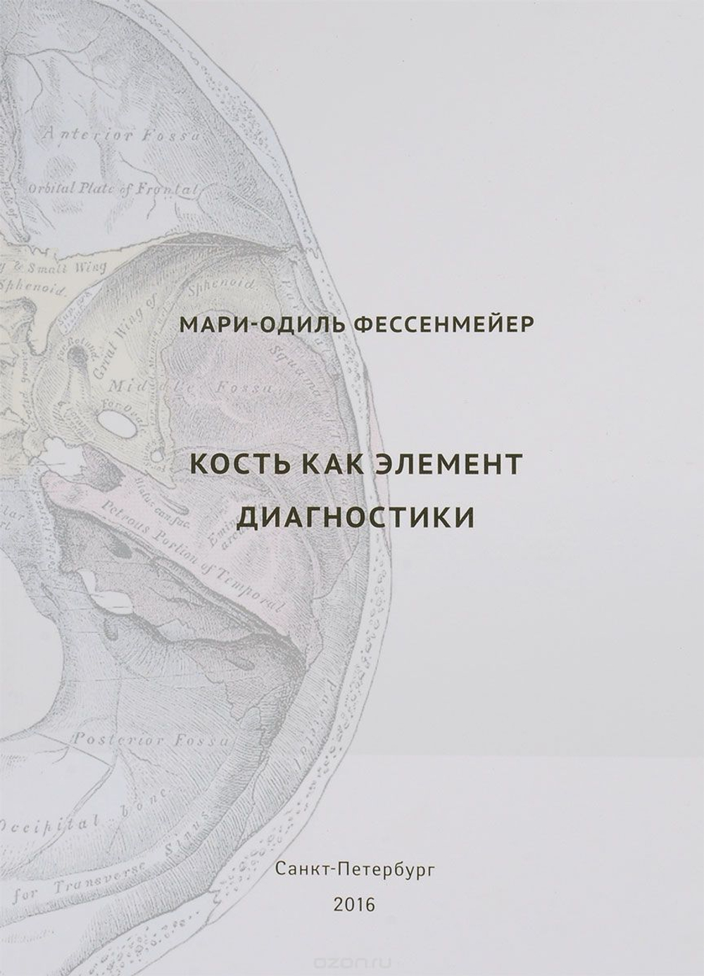 Кость как элемент диагностики