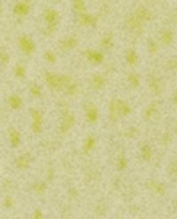 Ароматический спрей для тканей и одежды Lime & Peppermint 190 мл Zara Home