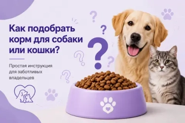 Как подобрать  корм для собаки или кошки
