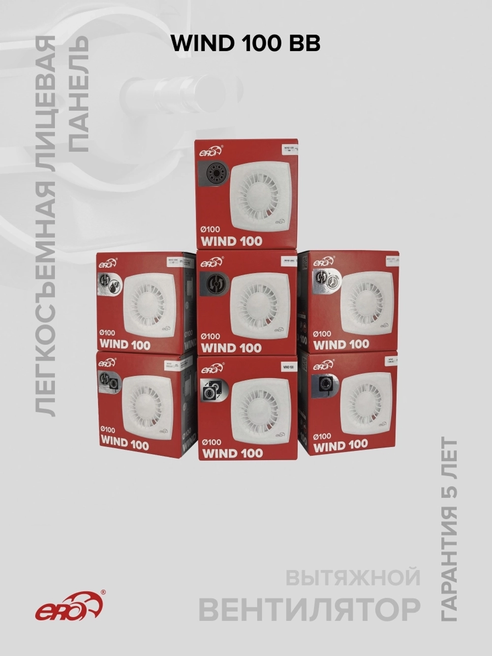 Вентилятор накладной WIND D100 двигатель BB ERA