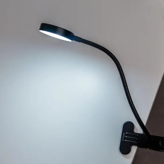 Интерьерная настольная лампа Ньютон CL803071N Citilux