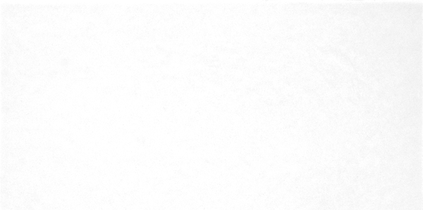 TWU09MNR020 плитка облицовочная Моноколор / Monocolor 249*500 (12 шт в уп/80,676 м в пал)