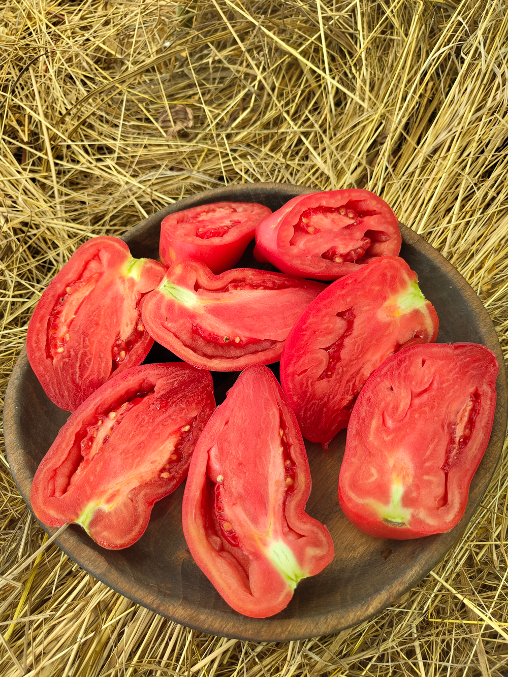 Розовый рог или Андский розовый (Cornurose или Andine Cornue)