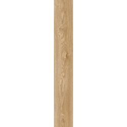 Moduleo Roots Sierra Oak 58346