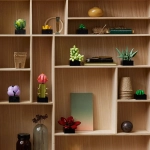 Конструктор LEGO Botanical Collection 10309 Суккуленты