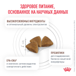 ROYAL CANIN Gastrointestinal Корм сухой для взрослых кошек при расстройствах пищеварения, 2 кг
