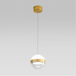 Подвесной светодиодный светильник Odeon Light RONI 5036/9L