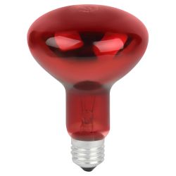 Термоизлучатель инфракрасный зеркальный ЭРА ИКЗК 230-100 R95 E27 для курятника цыплят птиц животных/для обогрева 2 шт | Инфракрасные лампы