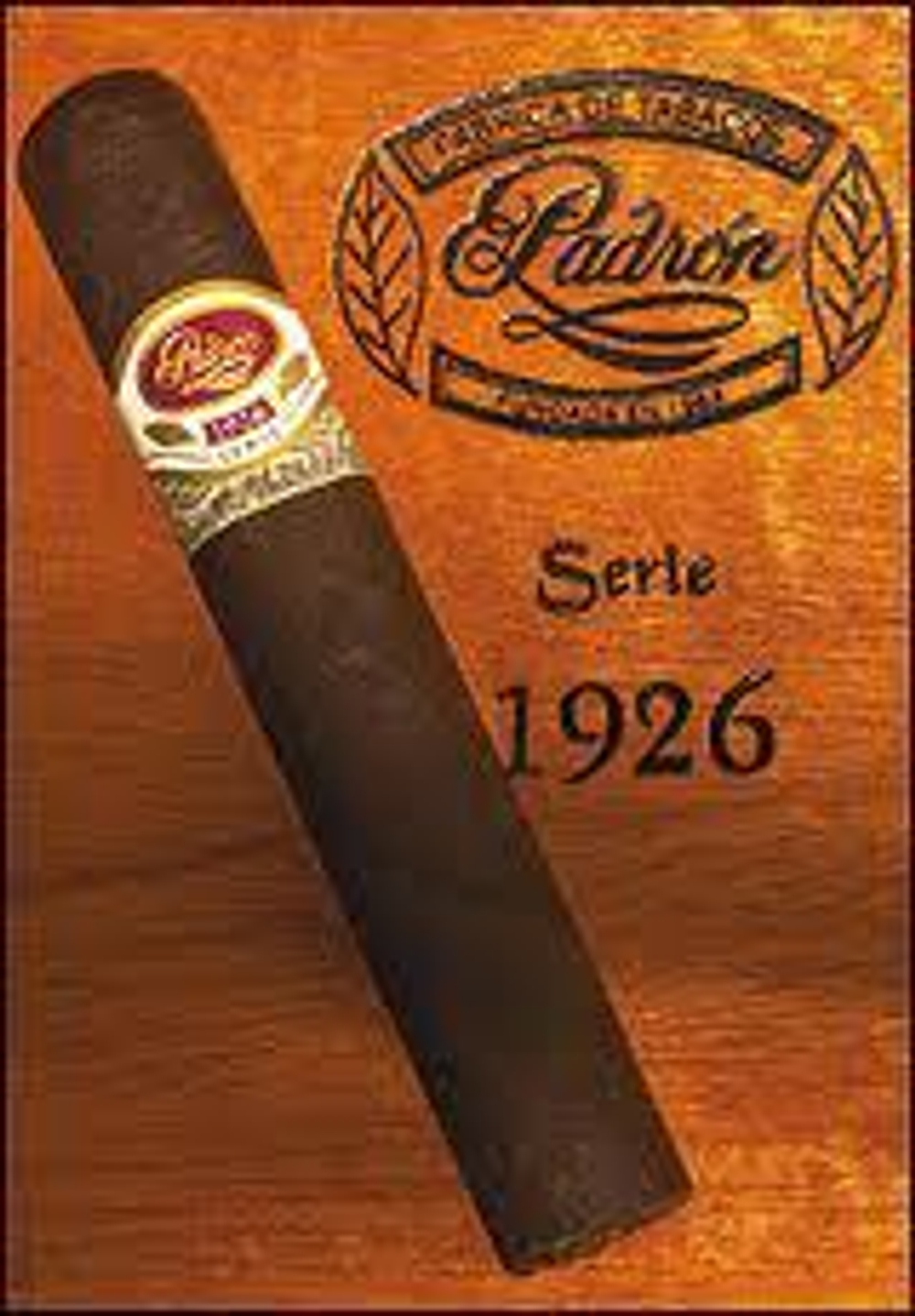 Padron 1926 Serie №6 Maduro
