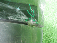 DSCN5721.JPG