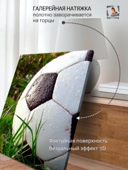 Картина "Мяч в траве", модульная 30х40см 1шт.