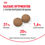 Royal Canin Mini Puppy Мини Паппи Корм сухой для щенков мелких пород в возрасте до 10 месяцев 800 г