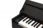 Pierre Cesar DP-17-H