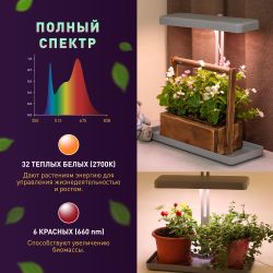 Настольный светильник для растений ЭРА FITO-20W-QLED-G полного спектра 20 Вт серый | Интерьерные фито светильники