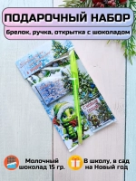 Подарочный набор детям на Новый год с шоколадом