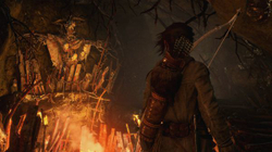 Rise of the Tomb Raider: 20 Year Celebration (диск для PS4, полностью на русском языке)