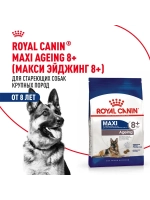 Royal Canin Maxi Adult 8+ (РоялКанин Макси Эджен 8+)для стареющих собак крупных пород (весом от 26 до 44 кг) в возрасте 8 лет и старше 15кг