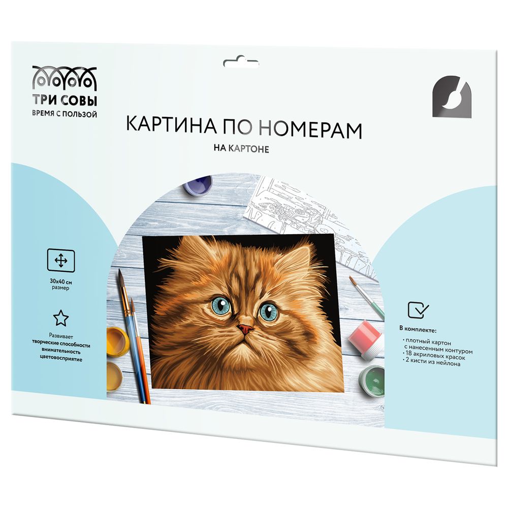 УЦЕНКА Картина по номерам 30х40см, Три совы Пушистый котенок, с акриловыми красками