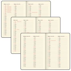 Ежедневник датированный А5 BRAUBERG "Note" красный (117518) 8
