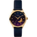 Женские наручные часы Timex TW2V49300