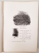 "Bitter Sweet. A Poem (Горько-Сладкий. Стихотворения)". Josiah Gilbert Holland (Джосайя Гилберт Холланд). 1867 г.
