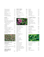 Practical Guide to Pruning, Training and Topiary